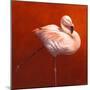 Flame Bird Flamingo-Jeremy Paul-Mounted Giclee Print