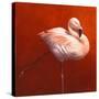 Flame Bird Flamingo-Jeremy Paul-Stretched Canvas