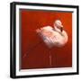 Flame Bird Flamingo-Jeremy Paul-Framed Giclee Print