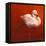 Flame Bird Flamingo-Jeremy Paul-Framed Stretched Canvas