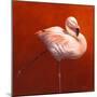 Flame Bird Flamingo-Jeremy Paul-Mounted Premium Giclee Print