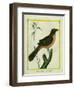 Flame-Colored Tanager-Georges-Louis Buffon-Framed Giclee Print