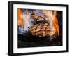 Flame Grilled Burgers on the Grill-Dean Sanderson-Framed Photographic Print