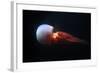 Flame Jellyfish (Rhopilema Esculentum). Wildlife Animal.-wrangel-Framed Photographic Print