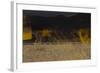 Flame Trees, Namibia-Valda Bailey-Framed Photographic Print