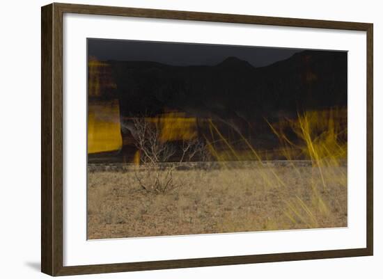 Flame Trees, Namibia-Valda Bailey-Framed Photographic Print