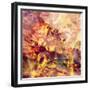 Flame-Meiya Y-Framed Giclee Print