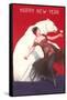 Flamenco Dancer, Polar Bear-null-Framed Stretched Canvas