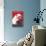 Flamenco Dancer, Polar Bear-null-Stretched Canvas displayed on a wall