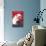 Flamenco Dancer, Polar Bear-null-Mounted Art Print displayed on a wall