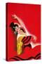 Flamenco Dancer Poster-null-Stretched Canvas