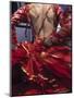 Flamenco Dancer, Seville, Andalucia, Spain-Peter Adams-Mounted Premium Photographic Print