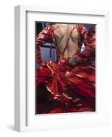 Flamenco Dancer, Seville, Andalucia, Spain-Peter Adams-Framed Photographic Print