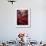 Flamenco Dancer, Seville, Andalucia, Spain-Peter Adams-Framed Photographic Print displayed on a wall