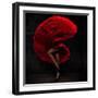 Flamenco Dancer-conrado-Framed Photographic Print