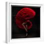 Flamenco Dancer-conrado-Framed Photographic Print