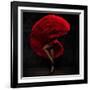 Flamenco Dancer-conrado-Framed Photographic Print