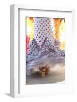 Flamenco Dancers, Jerez De La Frontera, Cadiz Province, Andalusia, Spain-Neil Farrin-Framed Photographic Print