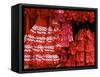 Flamenco Dresses, Seville, Andalucia, Spain, Europe-Guy Thouvenin-Framed Stretched Canvas