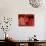 Flamenco Dresses, Seville, Andalucia, Spain, Europe-Guy Thouvenin-Photographic Print displayed on a wall