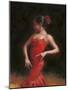 Flamenco II-Patrick Mcgannon-Mounted Art Print