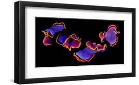 Flamenco-null-Framed Art Print