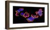 Flamenco-null-Framed Art Print