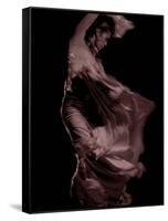 Flamenco-Tim Kahane-Framed Stretched Canvas