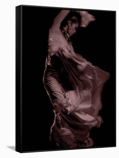 Flamenco-Tim Kahane-Framed Stretched Canvas