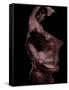 Flamenco-Tim Kahane-Framed Stretched Canvas
