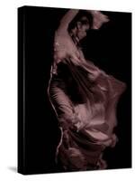 Flamenco-Tim Kahane-Stretched Canvas