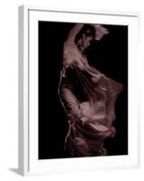 Flamenco-Tim Kahane-Framed Photographic Print