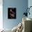 Flamenco-Tim Kahane-Mounted Photographic Print displayed on a wall