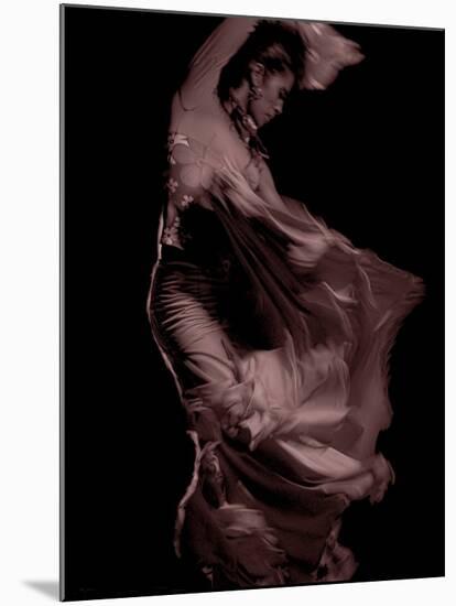 Flamenco-Tim Kahane-Mounted Photographic Print