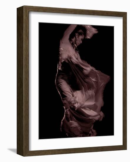 Flamenco-Tim Kahane-Framed Photographic Print