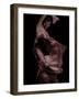 Flamenco-Tim Kahane-Framed Photographic Print