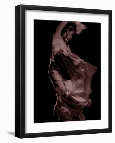 Flamenco-Tim Kahane-Framed Photographic Print