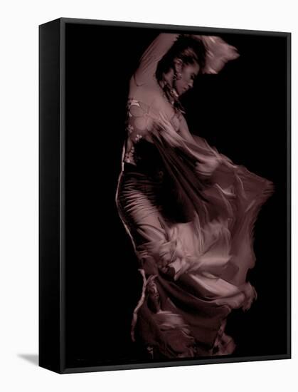 Flamenco-Tim Kahane-Framed Stretched Canvas