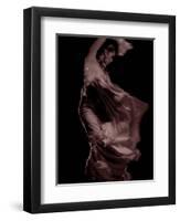 Flamenco-Tim Kahane-Framed Photographic Print