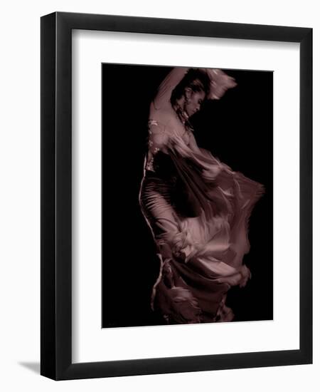 Flamenco-Tim Kahane-Framed Photographic Print