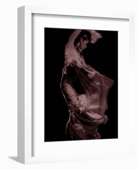 Flamenco-Tim Kahane-Framed Photographic Print