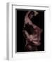 Flamenco-Tim Kahane-Framed Photographic Print