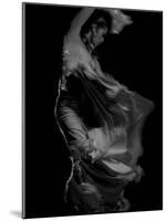 Flamenco-Tim Kahane-Mounted Photographic Print