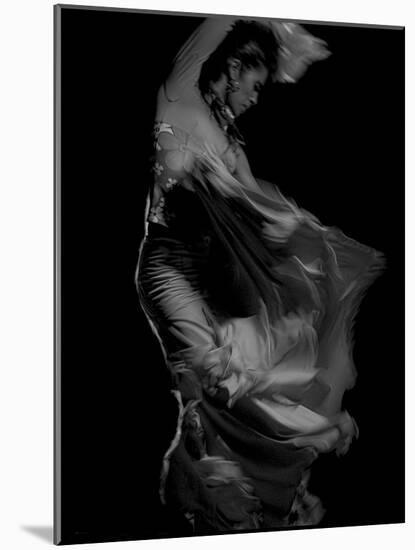 Flamenco-Tim Kahane-Mounted Photographic Print