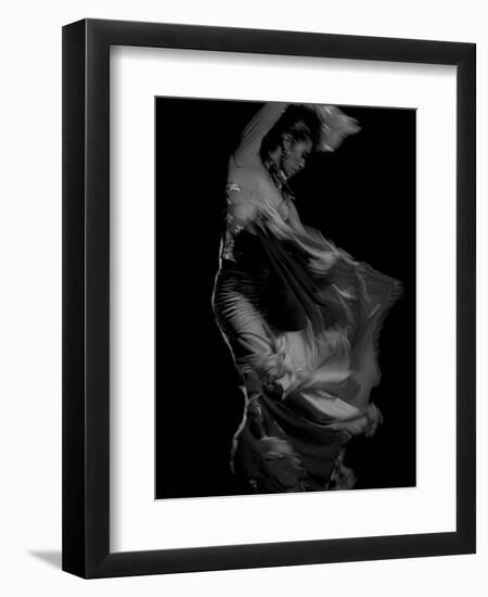 Flamenco-Tim Kahane-Framed Premium Photographic Print