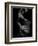 Flamenco-Tim Kahane-Framed Photographic Print