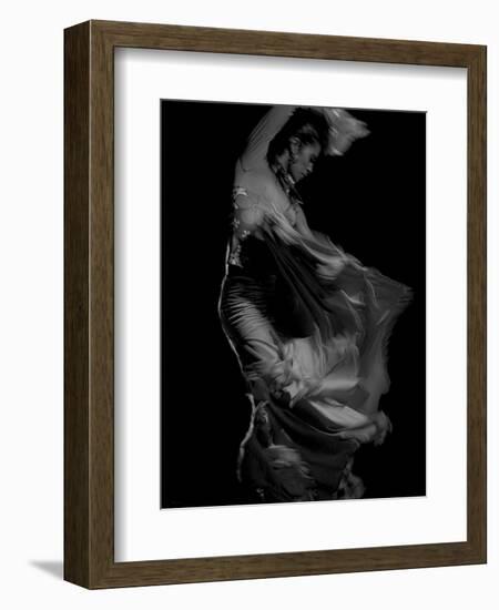 Flamenco-Tim Kahane-Framed Photographic Print