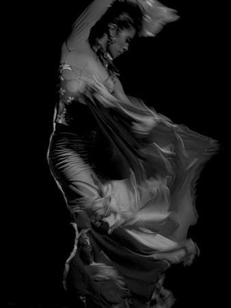https://imgc.allpostersimages.com/img/posters/flamenco_u-L-PZ0UZ00.jpg?artPerspective=n