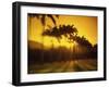 Flamengo Park, Rio de Janeiro, Brazil-null-Framed Photographic Print