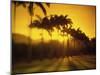 Flamengo Park, Rio de Janeiro, Brazil-null-Mounted Photographic Print